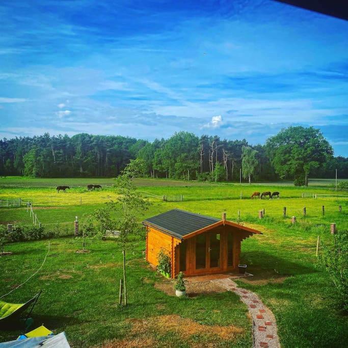 Wunderschoene Ferienwohnung Auf Dem Bauernhof Greven Luaran gambar