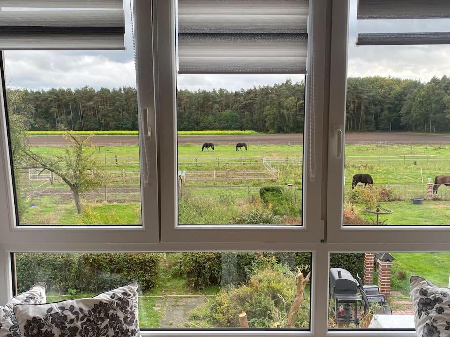 Wunderschoene Ferienwohnung Auf Dem Bauernhof Greven Luaran gambar