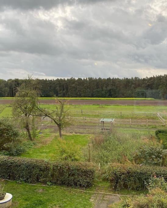 Wunderschoene Ferienwohnung Auf Dem Bauernhof Greven Luaran gambar